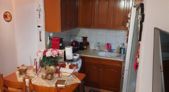 ΕΝΟΙΚΙΑΖΕΤΑΙ ΓΚΑΡΣΟΝΙΕΡΑ-ΔΙΑΘΕΣΙΜΗ ΑΠΟ 1 ΙΟΥΝΙΟΥ