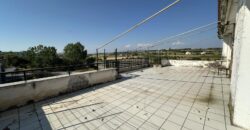 ΕΝΟΙΚΙΑΖΕΤΑΙ ΑΓΡΟΤΕΜΑΧΙΟ / ΚΑΤΟΙΚΙΑ ΣΤΟ ΣΧΟΛΑΡΙ ΘΕΡΜΗΣ – ΜΟΝΑΔΙΚΗ ΕΥΚΑΙΡΙΑ ΕΠΕΝΔΥΣΗΣ