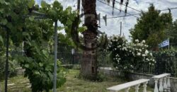 Πωλείται Μονοκατοικία στην ΑΓ.ΤΡΙΑΔΑ 100τ.μ.και 600τ.μ. κήπο 250.000€
