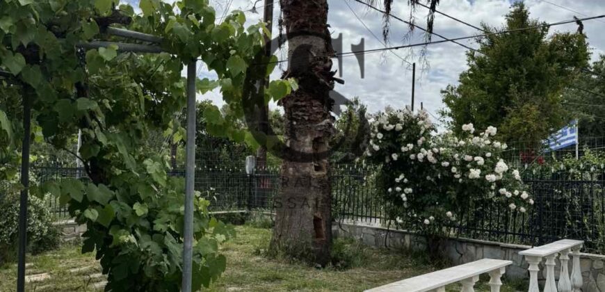 Πωλείται Μονοκατοικία στην ΑΓ.ΤΡΙΑΔΑ 100τ.μ.και 600τ.μ. κήπο 250.000€
