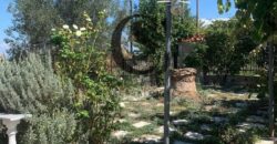 Πωλείται Μονοκατοικία στην ΑΓ.ΤΡΙΑΔΑ 100τ.μ.και 600τ.μ. κήπο 250.000€
