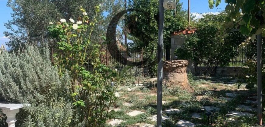 Πωλείται Μονοκατοικία στην ΑΓ.ΤΡΙΑΔΑ 100τ.μ.και 600τ.μ. κήπο 250.000€