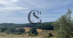 ΠΩΛΟΥΝΤΑΙ ΟΙΚΟΠΕΔΑ 12 στρεμμάτων ΣΤΙΣ ΝΕΕΣ ΦΩΚΙΕΣ ΧΑΛΚΙΔΙΚΗΣ 35.000 ανά στρέμμα