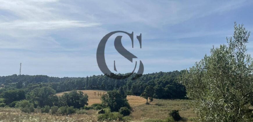 ΠΩΛΟΥΝΤΑΙ ΟΙΚΟΠΕΔΑ 12 στρεμμάτων ΣΤΙΣ ΝΕΕΣ ΦΩΚΙΕΣ ΧΑΛΚΙΔΙΚΗΣ 35.000 ανά στρέμμα