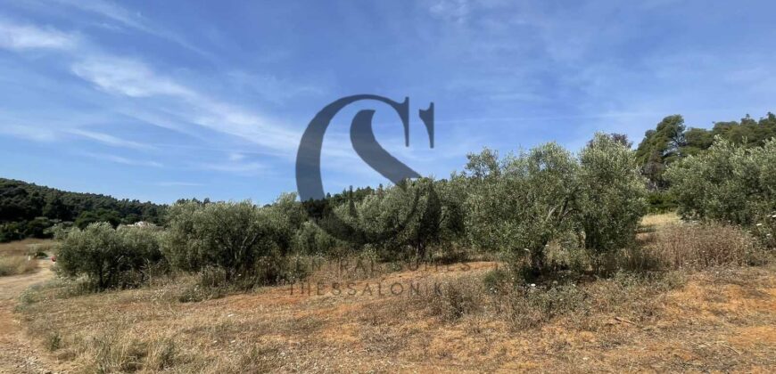 ΠΩΛΟΥΝΤΑΙ ΟΙΚΟΠΕΔΑ 12 στρεμμάτων ΣΤΙΣ ΝΕΕΣ ΦΩΚΙΕΣ ΧΑΛΚΙΔΙΚΗΣ 35.000 ανά στρέμμα