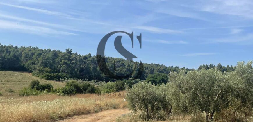 ΠΩΛΟΥΝΤΑΙ ΟΙΚΟΠΕΔΑ 12 στρεμμάτων ΣΤΙΣ ΝΕΕΣ ΦΩΚΙΕΣ ΧΑΛΚΙΔΙΚΗΣ 35.000 ανά στρέμμα