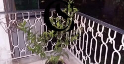 Πωλείται Ανακαινισμένο Διαμέρισμα 70 τ.μ. στο Κέντρο Θεσσαλονίκης – €180.000