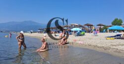 ΠΩΛΟΥΝΤΑΙ 60 ΣΤΡΕΜΜΑΤΑ (ΑΓΡΟΤΕΜΑΧΙΑ) ΣΤΟ ΒΑΡΙΚΟ ΠΙΕΡΙΑΣ 30.000€ το καθένα