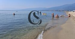 ΠΩΛΟΥΝΤΑΙ 60 ΣΤΡΕΜΜΑΤΑ (ΑΓΡΟΤΕΜΑΧΙΑ) ΣΤΟ ΒΑΡΙΚΟ ΠΙΕΡΙΑΣ 30.000€ το καθένα
