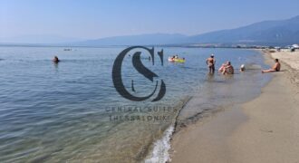 ΠΩΛΟΥΝΤΑΙ 60 ΣΤΡΕΜΜΑΤΑ (ΑΓΡΟΤΕΜΑΧΙΑ) ΣΤΟ ΒΑΡΙΚΟ ΠΙΕΡΙΑΣ 30.000€ το καθένα