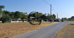 ΠΩΛΟΥΝΤΑΙ 60 ΣΤΡΕΜΜΑΤΑ (ΑΓΡΟΤΕΜΑΧΙΑ) ΣΤΟ ΒΑΡΙΚΟ ΠΙΕΡΙΑΣ 30.000€ το καθένα